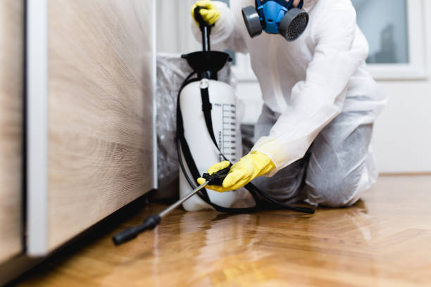Best Pest Control for Businesses  in Mullica Hill, NJ