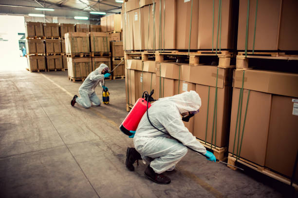 Best Exterminator Services  in Mullica Hill, NJ