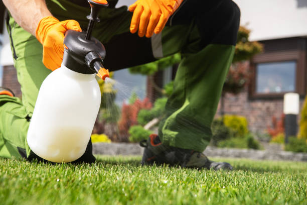 Trusted Mullica Hill, NJ Pest Control Experts