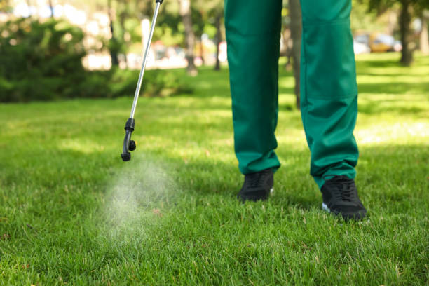 Best Affordable Pest Control Services  in Mullica Hill, NJ