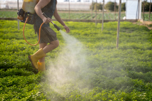 Best Residential Pest Control  in Mullica Hill, NJ