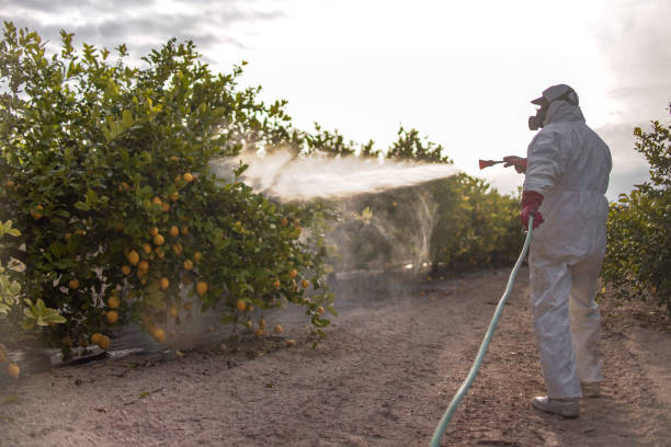Best Pest Control Treatment  in Mullica Hill, NJ