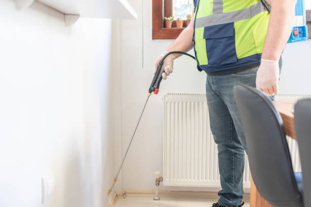 Best Flea Control Services  in Mullica Hill, NJ