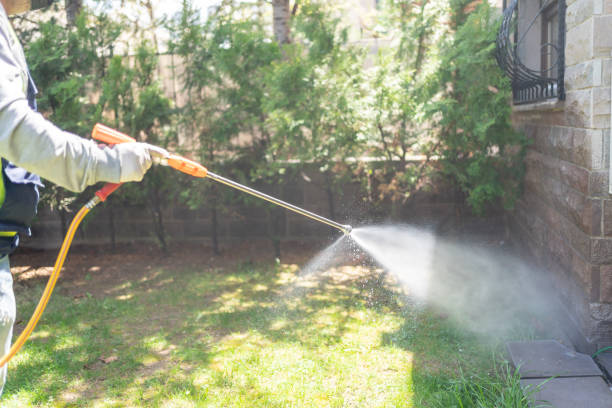Flea Control Services in Mullica Hill, NJ
