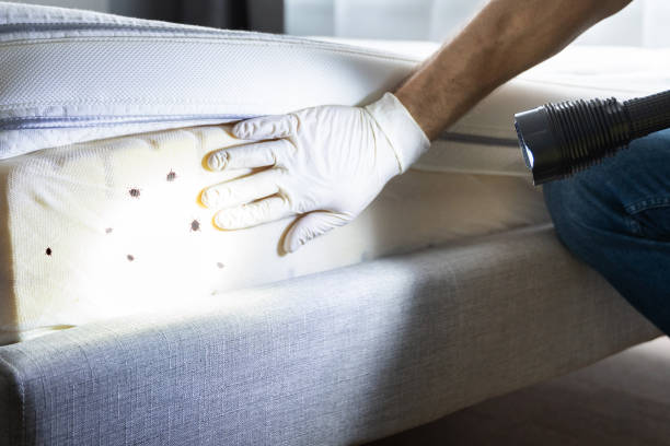 Best Pest Control Near Me  in Mullica Hill, NJ