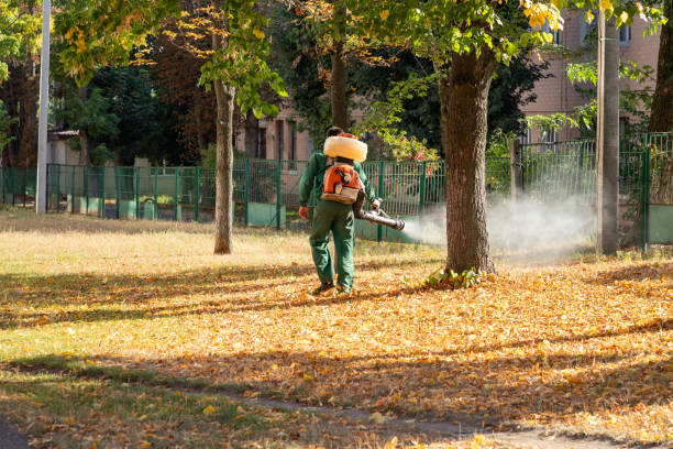 Best Mosquito Control Services  in Mullica Hill, NJ