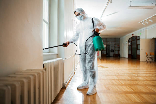Best Pest Inspection Near Me  in Mullica Hill, NJ